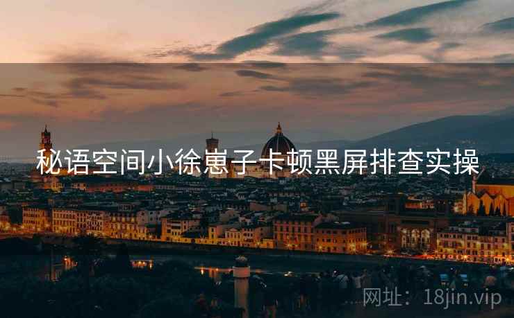 秘语空间小徐崽子卡顿黑屏排查实操
