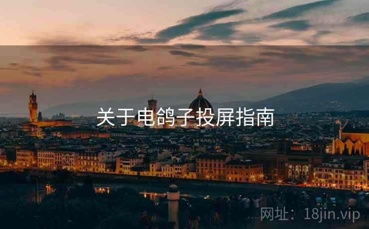关于电鸽子投屏指南