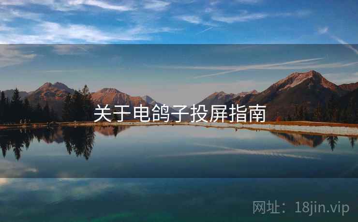 关于电鸽子投屏指南