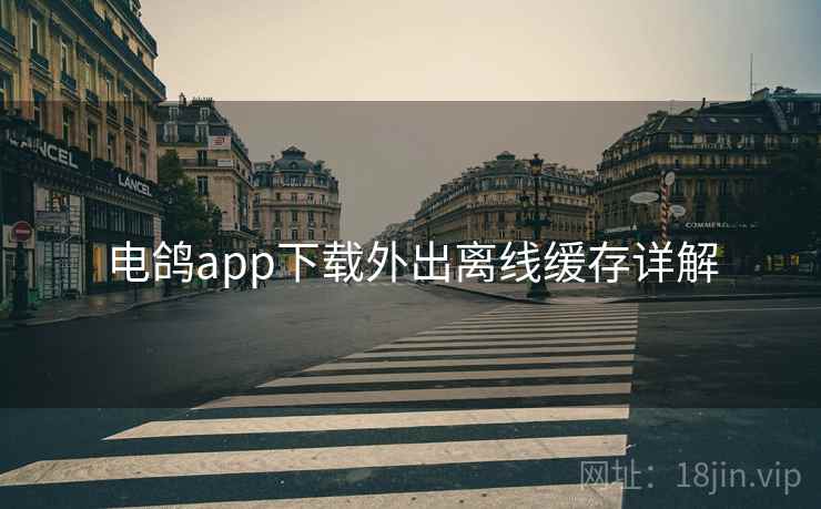 电鸽app下载外出离线缓存详解