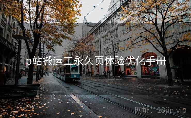 p站搬运工永久页体验优化手册