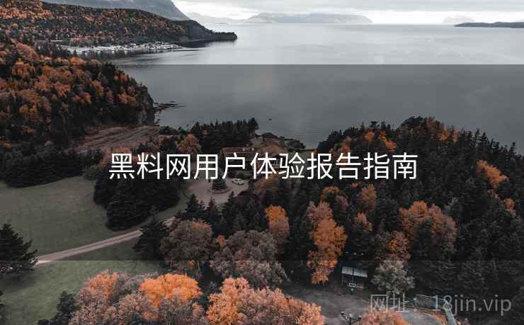黑料网用户体验报告指南