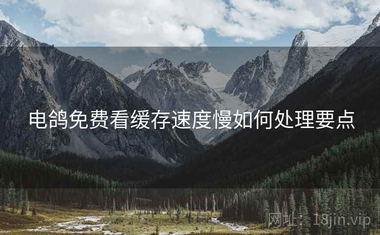 电鸽免费看缓存速度慢如何处理要点