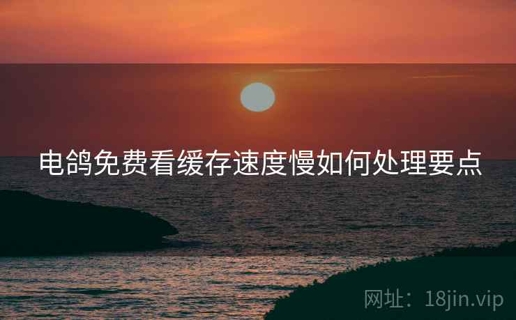 电鸽免费看缓存速度慢如何处理要点