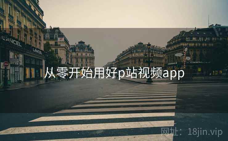 从零开始用好p站视频app