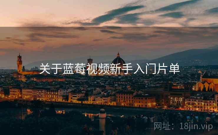 关于蓝莓视频新手入门片单