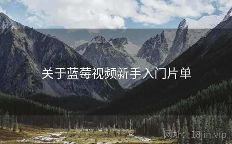 关于蓝莓视频新手入门片单