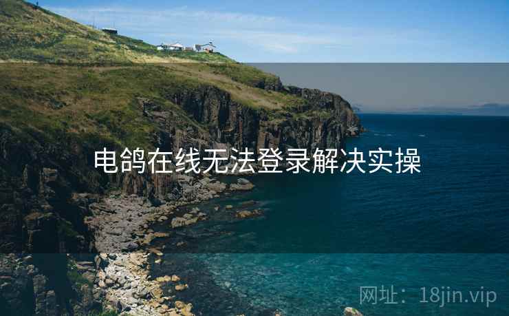 电鸽在线无法登录解决实操