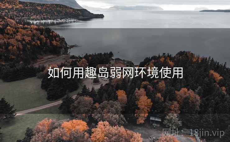 如何用趣岛弱网环境使用