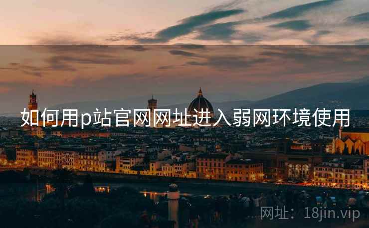 如何用p站官网网址进入弱网环境使用